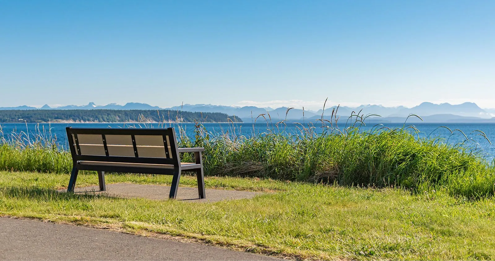 A Rutherford bench offers a place to rest and enjoy the view of the ocean and mountains. This bench provides comfortable seating in a scenic outdoor setting.