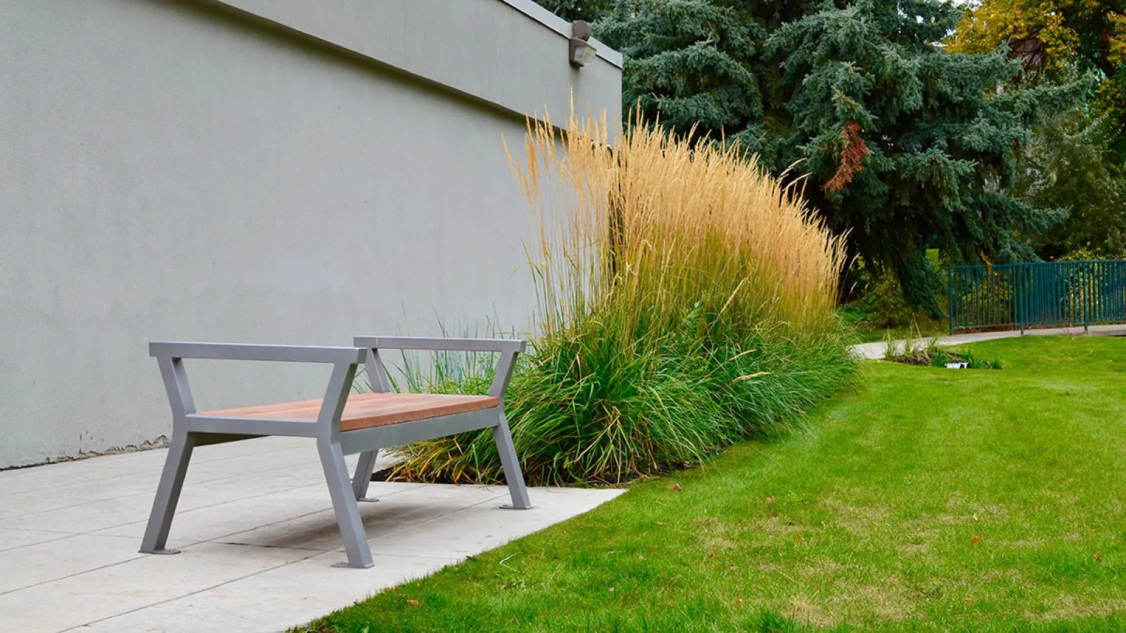 Rutherford straight bench with metal frame and timber seat, installed in a landscaped area with decorative grasses. The bench provides seating along a walkway next to a building.