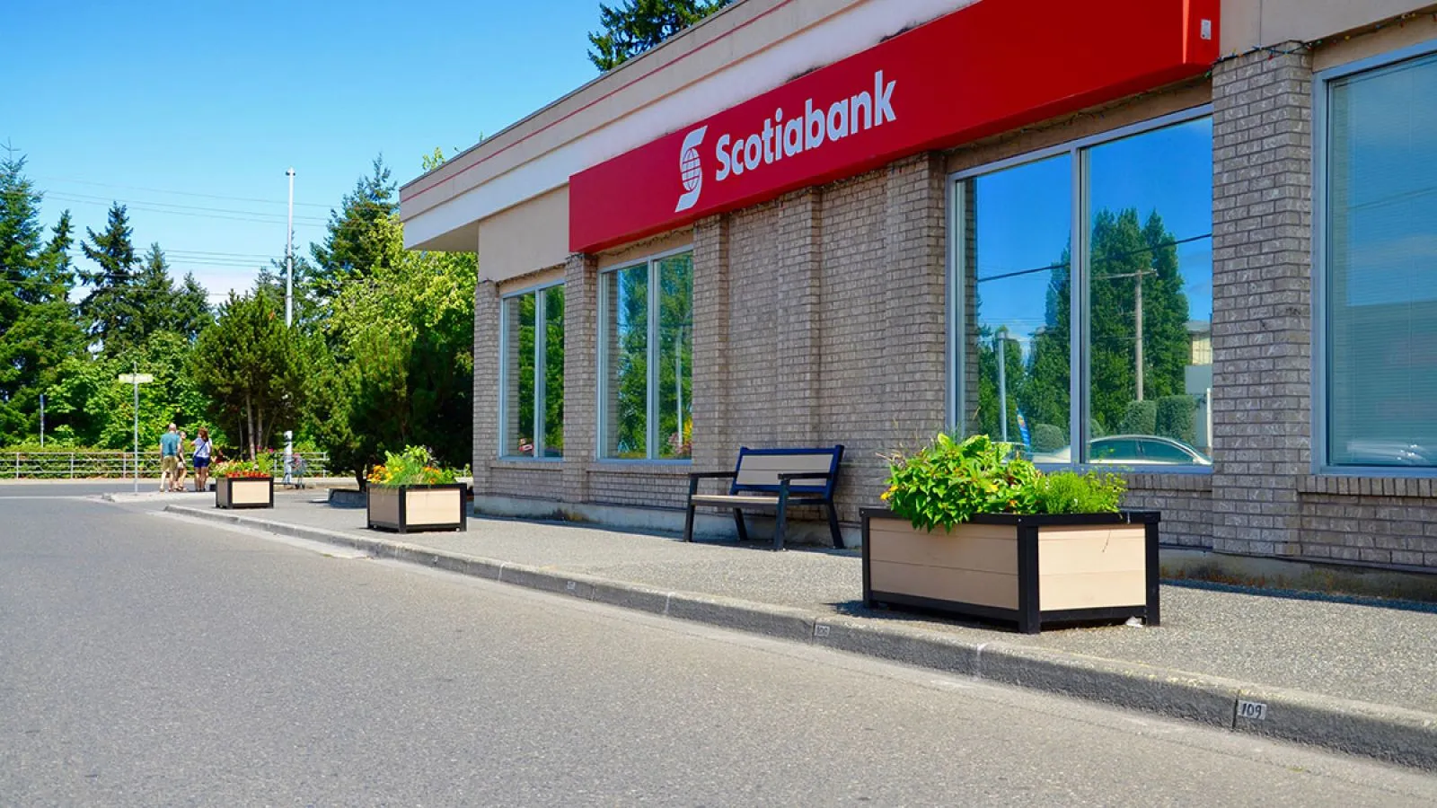 Rectangular self-watering planters enhance the streetscape outside a Scotiabank branch. The planters feature a light-colored recycled plastic lumber and black powder-coated frames.