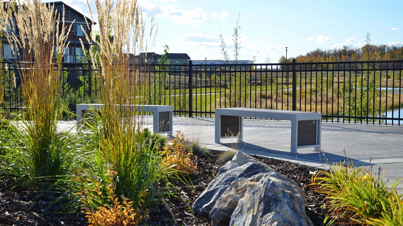 These straight benches provide seating in a landscaped area, surrounded by ornamental grasses and a black metal fence. The benches feature a light grey frame and dark recycled plastic lumber.