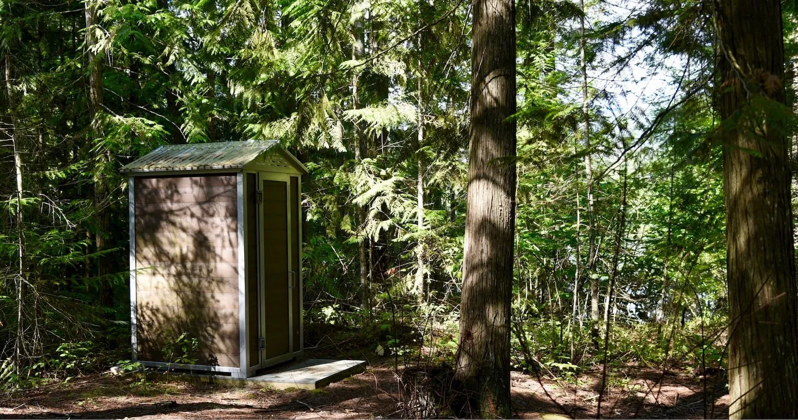 A regular outhouse building is situated in a forest setting. The structure features brown siding and a silver frame.