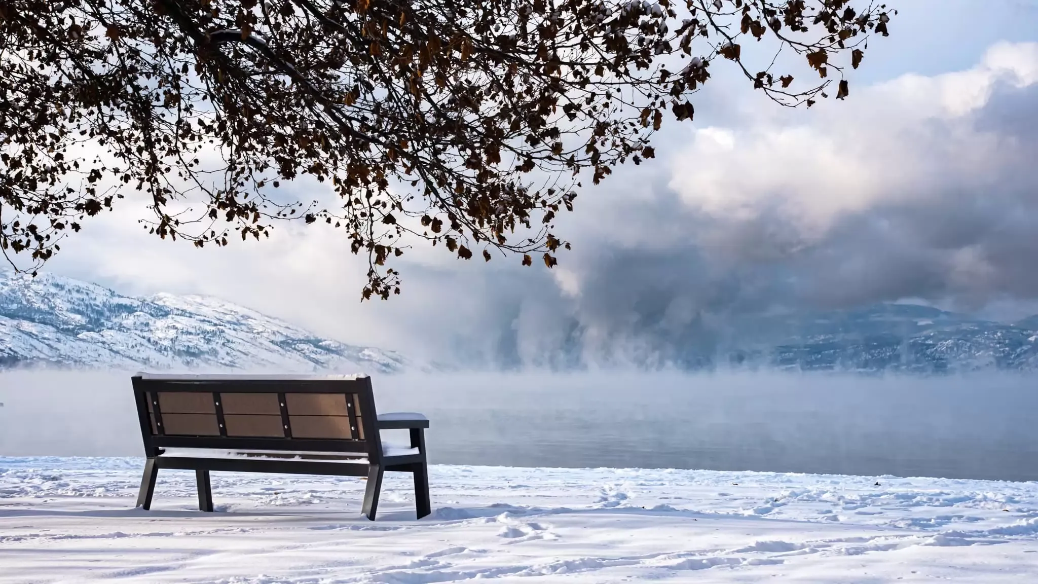 A Rutherford bench offers a place to rest and enjoy the snowy lakeside scenery. The bench features recycled plastic lumber and a durable metal frame.