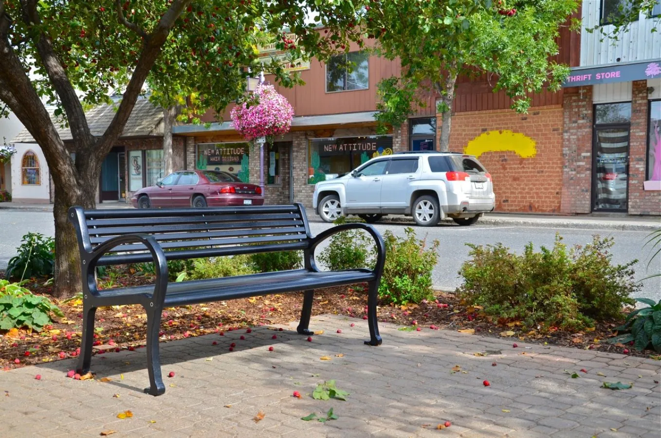 A black Mountain Classic bench sits on a brick-paved sidewalk in front of small businesses. The bench is surrounded by greenery and fallen leaves.
