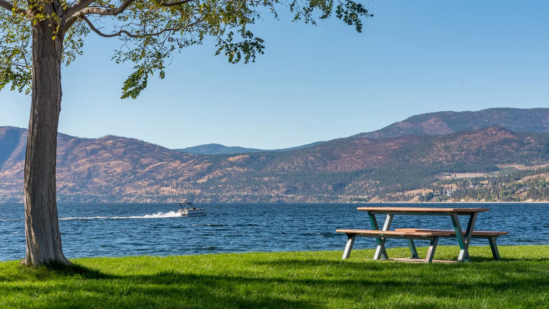 A Bayview picnic table sits on a grassy lawn overlooking a lake and mountains. This accessible outdoor furniture provides a comfortable space to enjoy the scenic view.