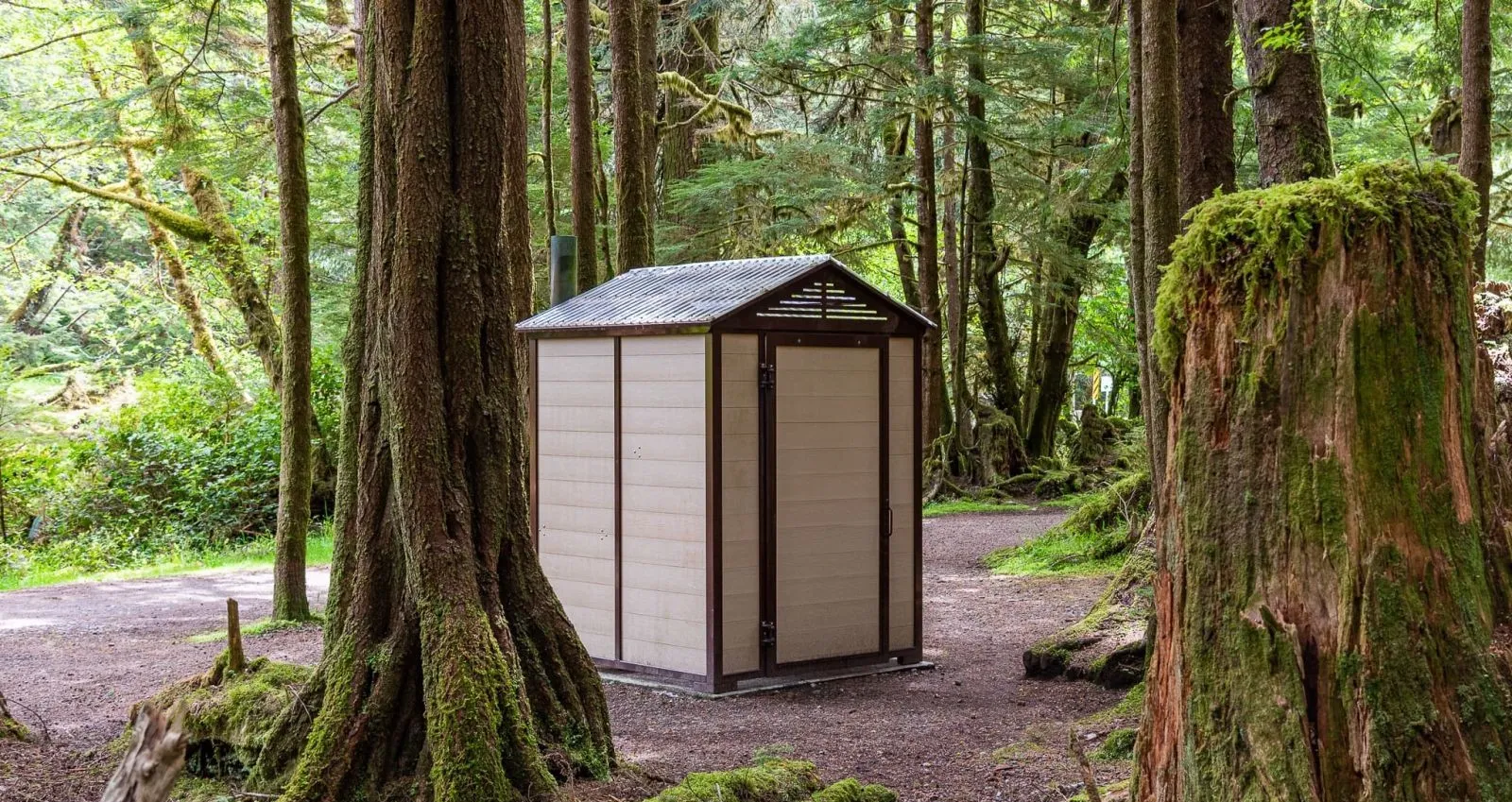 A John Jumbo Outhouse Building is nestled among tall trees in Naikoon Provincial Park, Tlell, British Columbia. The outhouse features light-colored siding with dark brown trim and a metal roof.