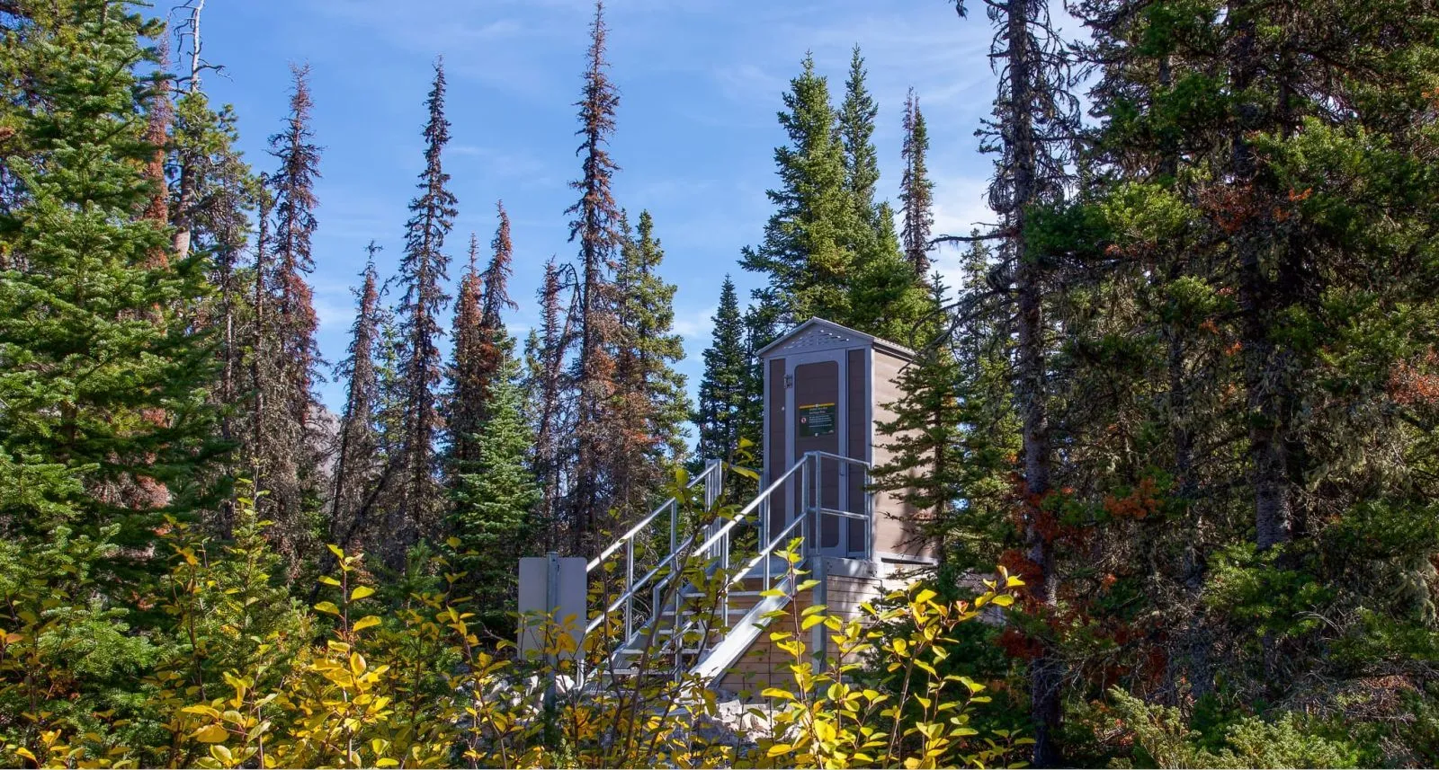 A John Regular Outhouse Building stands at Point Backcountry Campground in Alberta, Canada. The outhouse is surrounded by tall evergreen trees and features a staircase leading to the entrance.