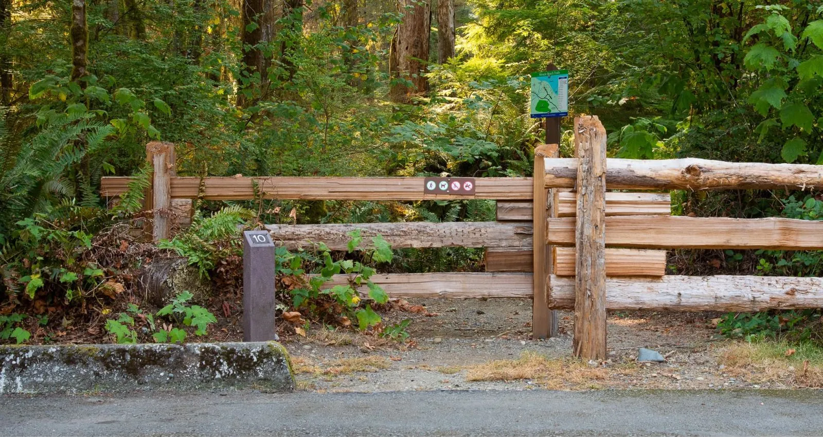 Wooden number post and split rail fence mark a trail entrance at Miracle Beach Provincial Park. The natural wood blends with the surrounding forest.