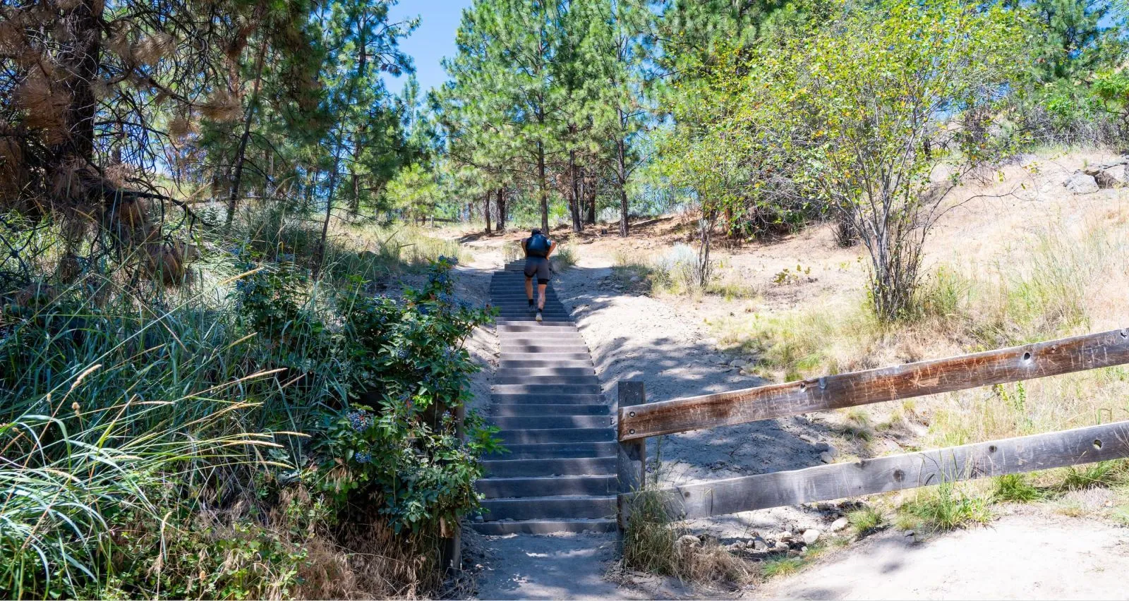 Concrete steps lead up a hillside trail at Knox Mountain Park. A rustic wooden fence runs alongside the path.