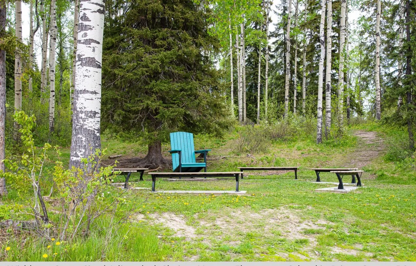 Outdoor benches provide seating in a park-like setting with birch trees. A turquoise Adirondack chair adds a pop of color to the natural landscape at Vanway Elementary School.