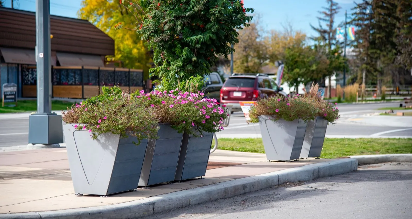 These West Coast Planters add greenery and visual interest to the Calgary streetscape. The planters feature a modern design with a light gray powder coat finish and are filled with colorful flowers.