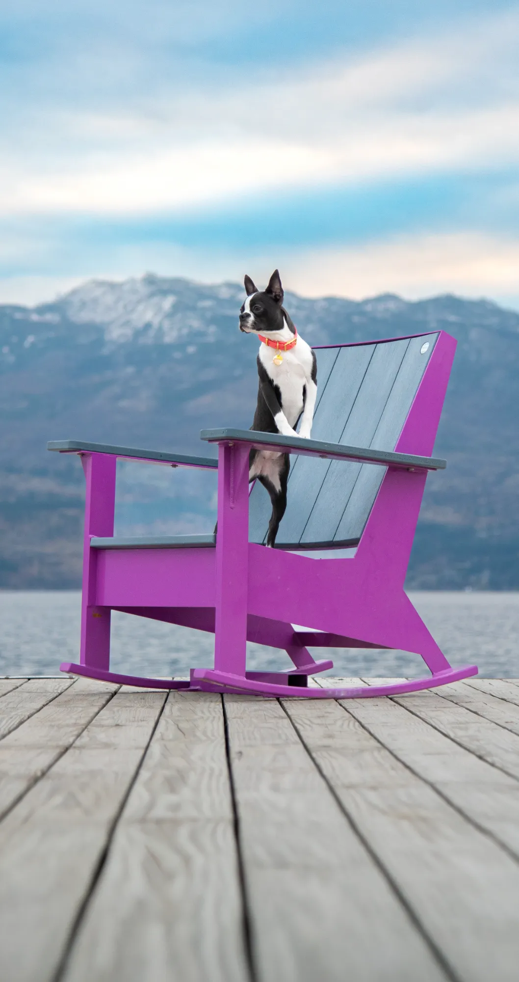 JEM Rocking Chair with Cute Dog