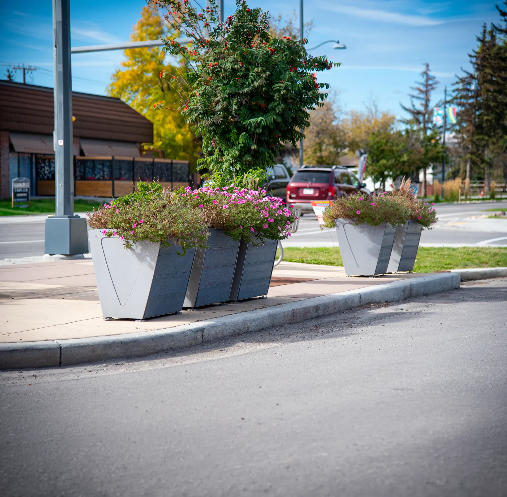 Wishbone West Coast Planters in Calgary, Alberta