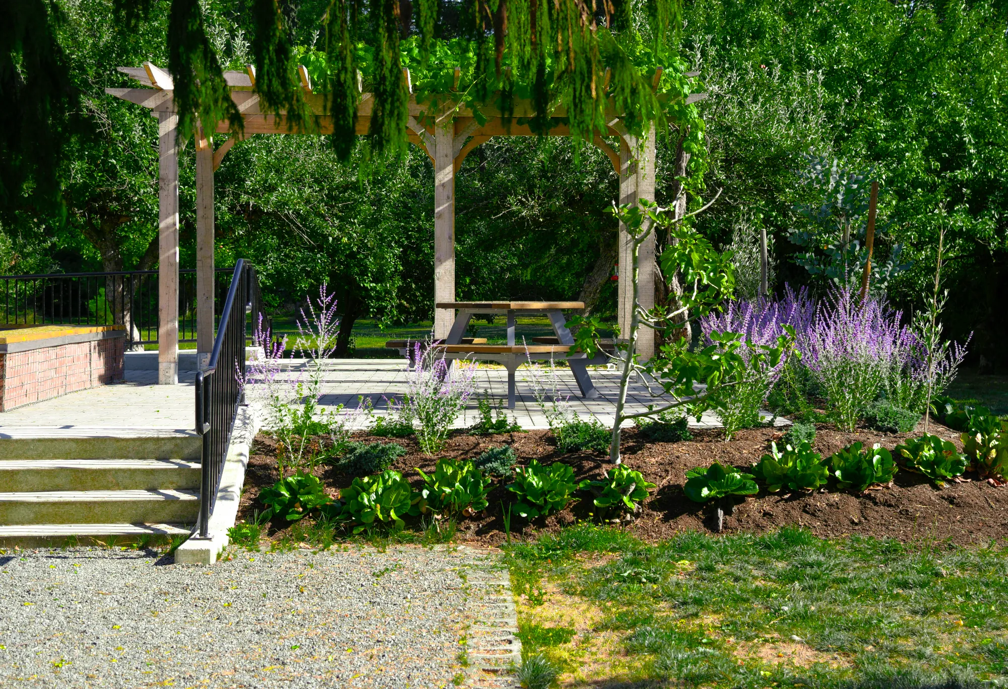 Wellington Bayview Hexagonal Cedar Picnic Table at Anders and Do