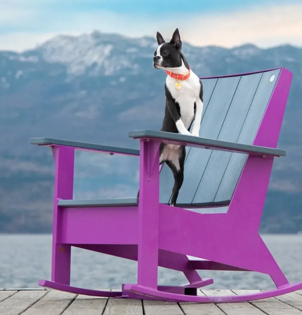 1779913059981-JEM_Rocking_Chair_with_Cute_Dog_C