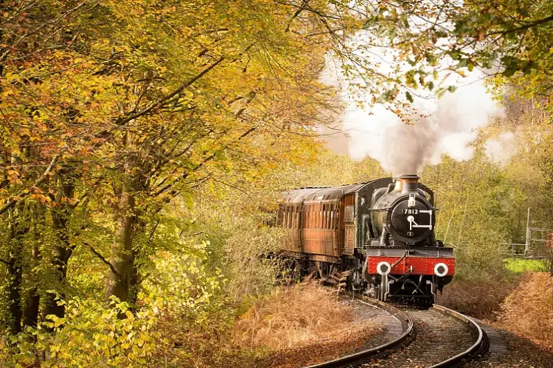 Nostalgia Travel: Why More People Are Traveling Back in Time