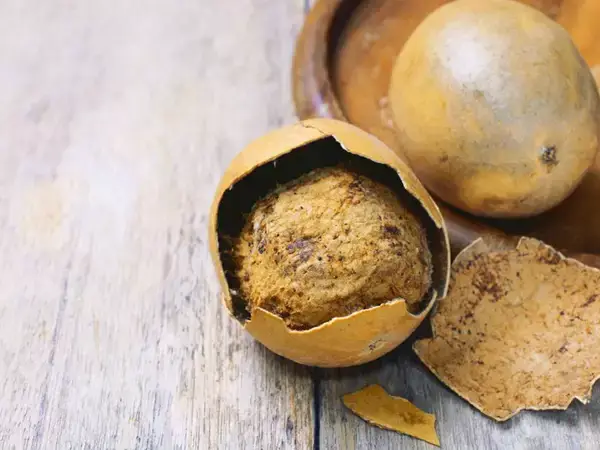 Zero Guilt, Pure Sweet: Monk Fruit’s Journey from Tradition to Trend