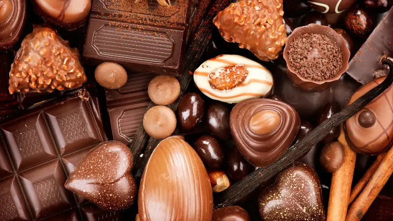 Mapping the Microbial Recipe: How Science Is Inventing the Future of Chocolate Flavor