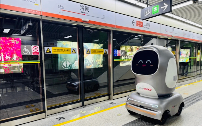 Subway Penguins Are Real