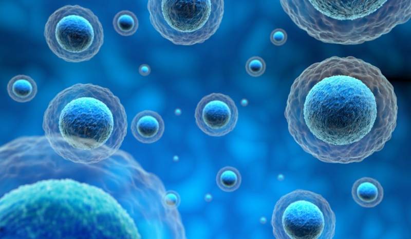 Yamanaka Factors: Rewriting Cellular Identity and the Future of Medicine