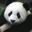 Mr. Panda