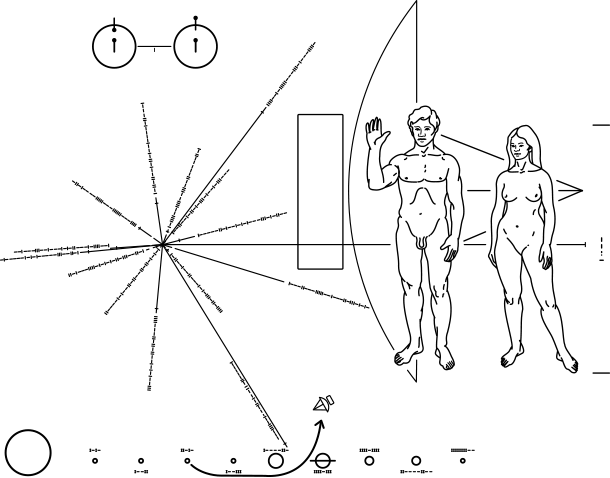 The Sun extracted from the Pioneer plaque. Author: NASA; vectors by Mysid. Public Domain