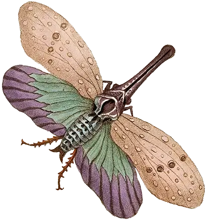 Illustration of flying beetle