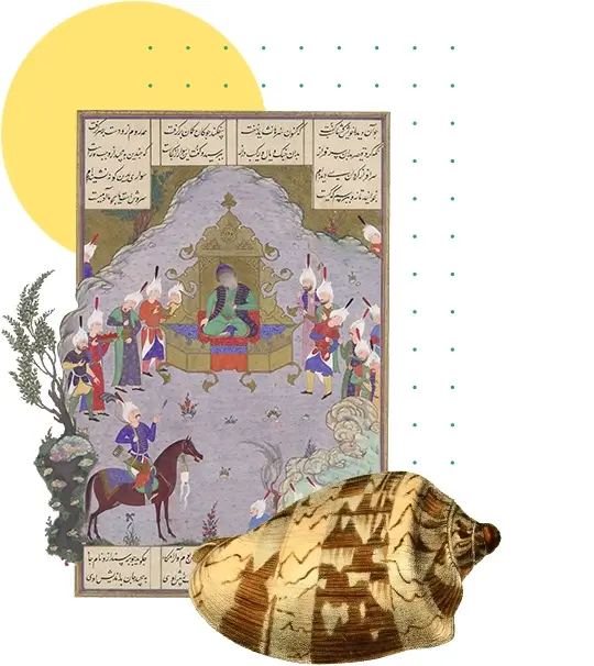 Collage of images