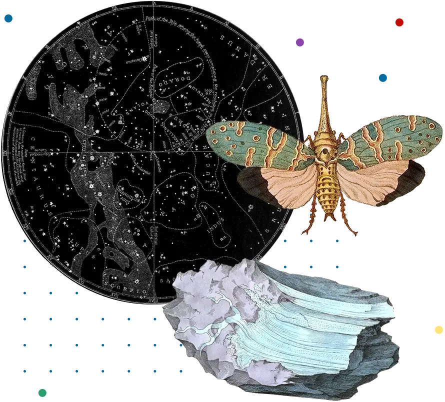 Collage of images