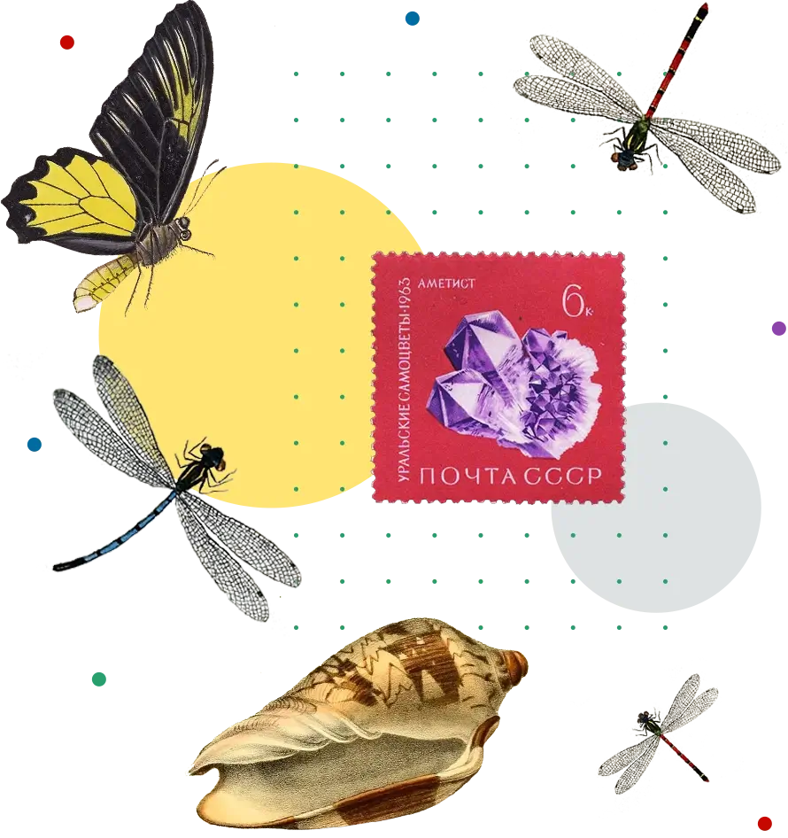 Collage of images