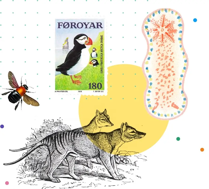 Collage of images