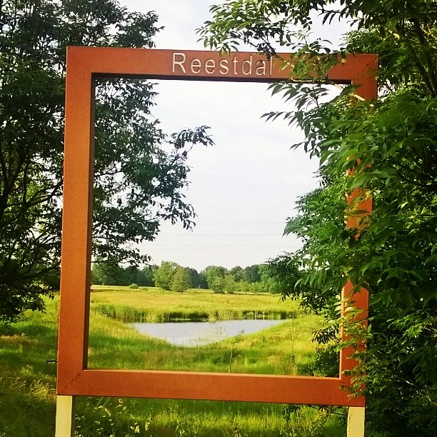 Een fietser op een landweg in het Reestdal.