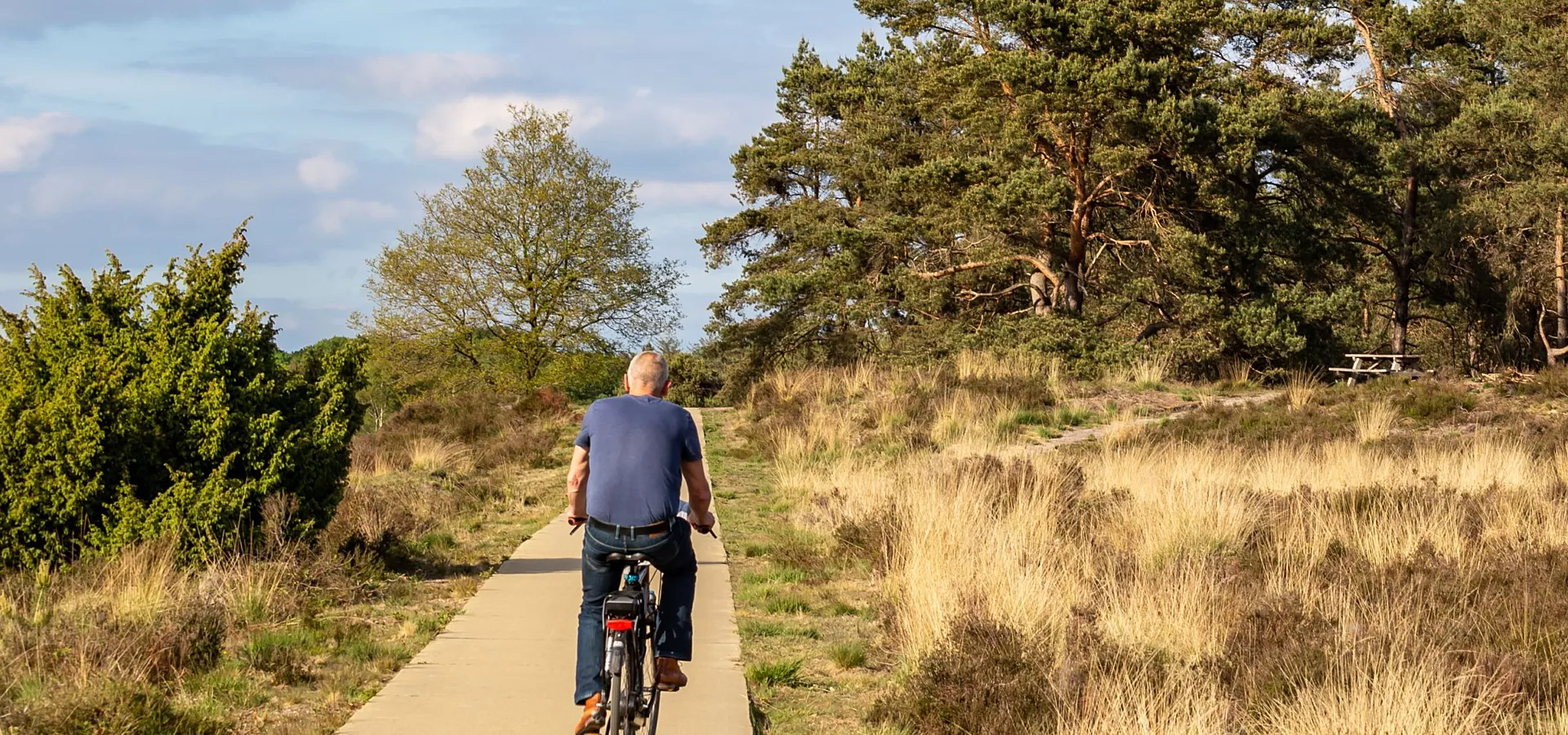 Fietspad door het bosrijke gebied rond Ommen.