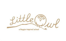 Little Owl logo