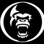Swindon Silverbacks Logo