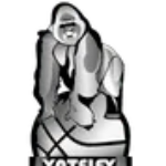 Yateley Silverbacks 2 Logo