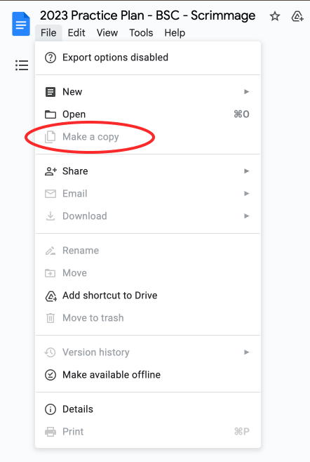 Screenshot of Google Drive interface with the copy option disabled