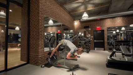 Roman Chair Back Extension demonstration