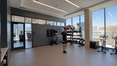 Dumbbell Lateral Raise demonstration