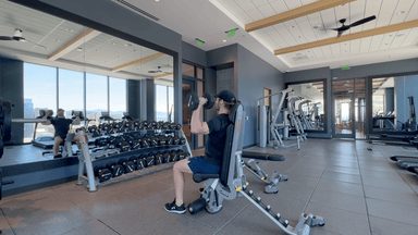 Seated Dumbbell Shoulder Press demonstration
