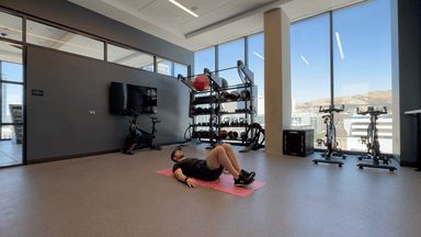 Standard Reverse Crunches demonstration