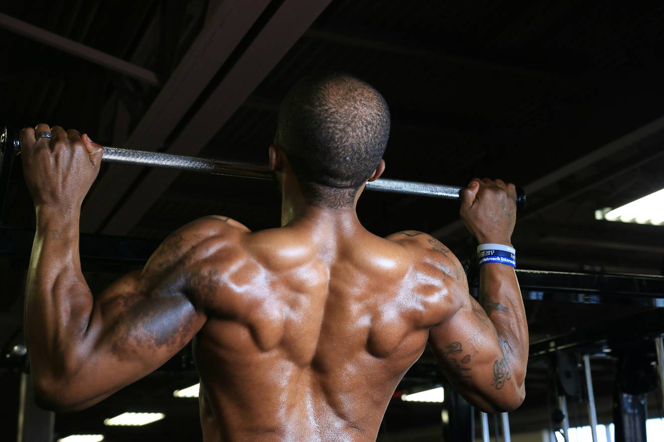 Muscle Building