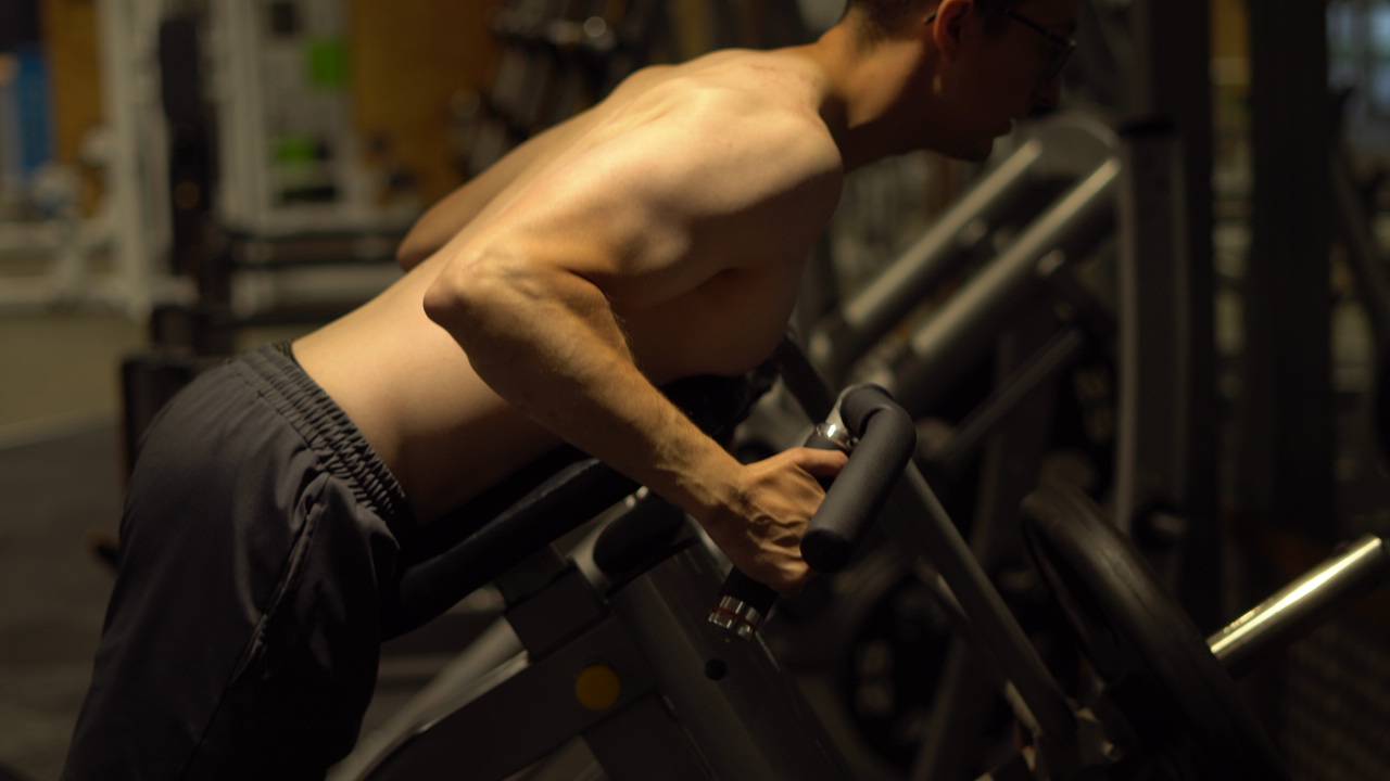 Body Recomposition