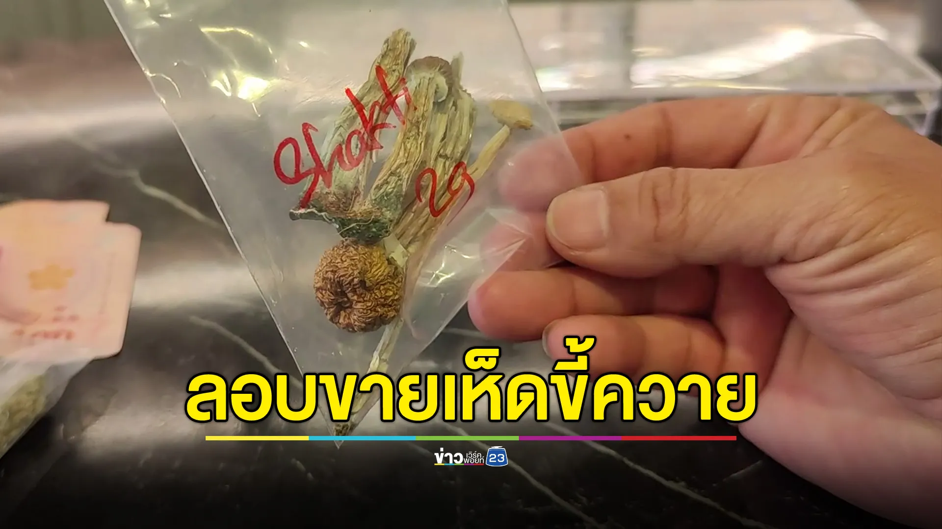 จับร้านขายกัญชา ลอบขายเห็ดขี้ควาย ทำชาวต่างชาติเสียชีวิต