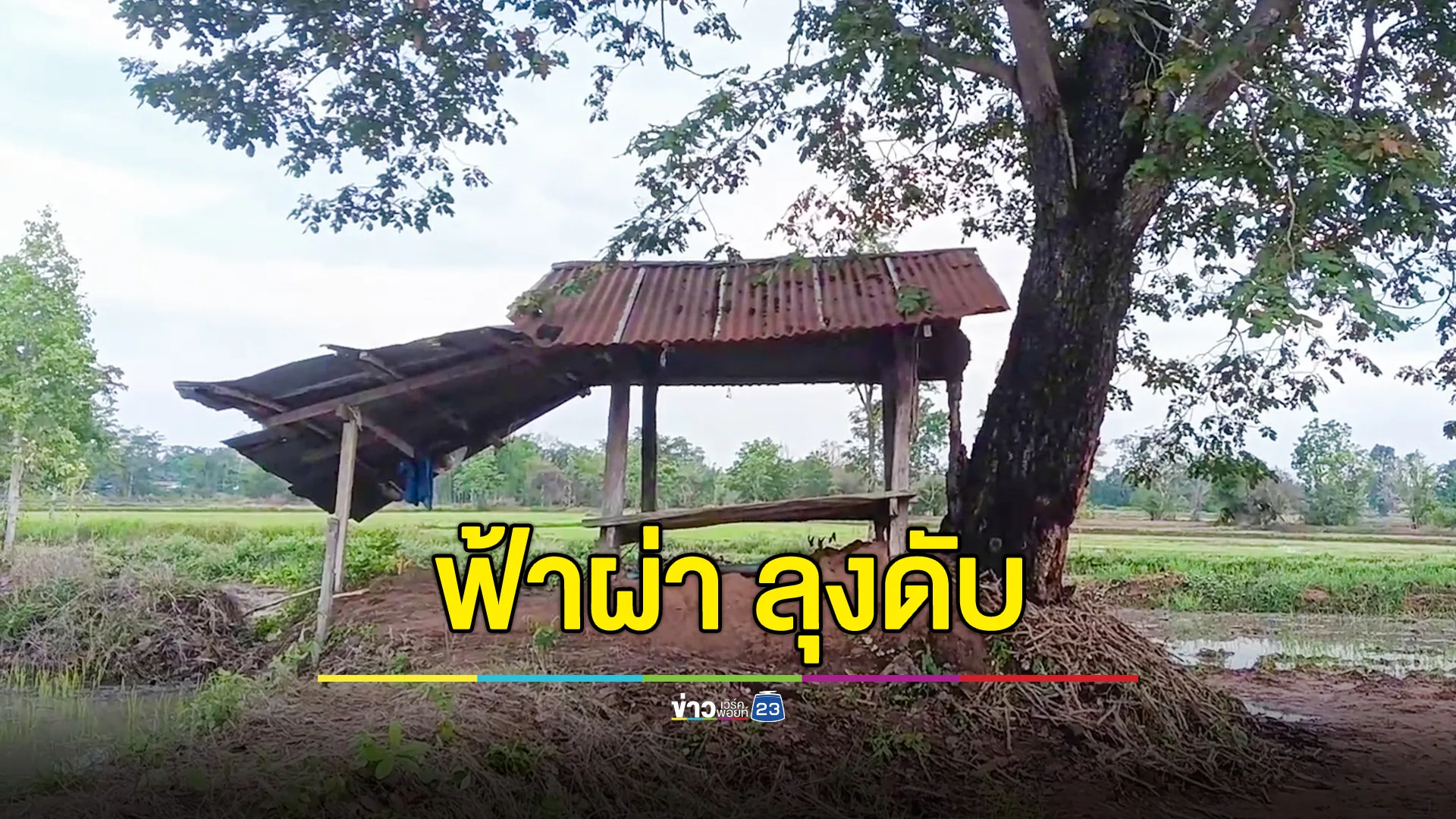 ลุงวัย 61 ปี ออกไปดูนาข้าว โดนฟ้าผ่าดับคาทุ่งนา