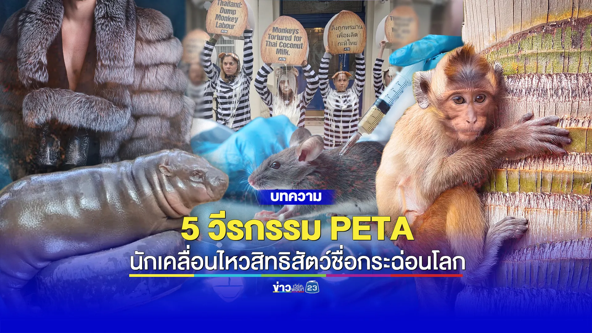 5 วีรกรรม PETA นักเคลื่อนไหวสิทธิสัตว์ชื่อกระฉ่อนโลก