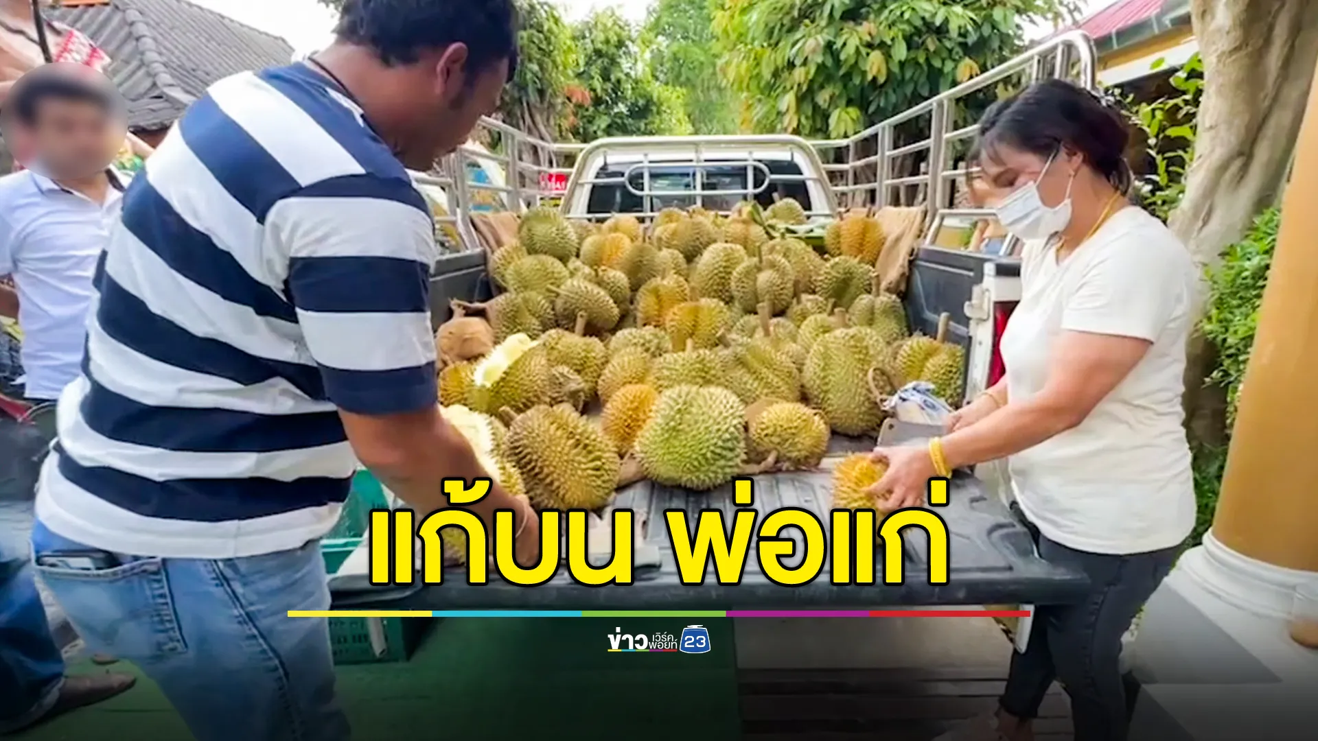  ขนทุเรียน 500 กก.แก้บน "พ่อแก่พันล้าน" 