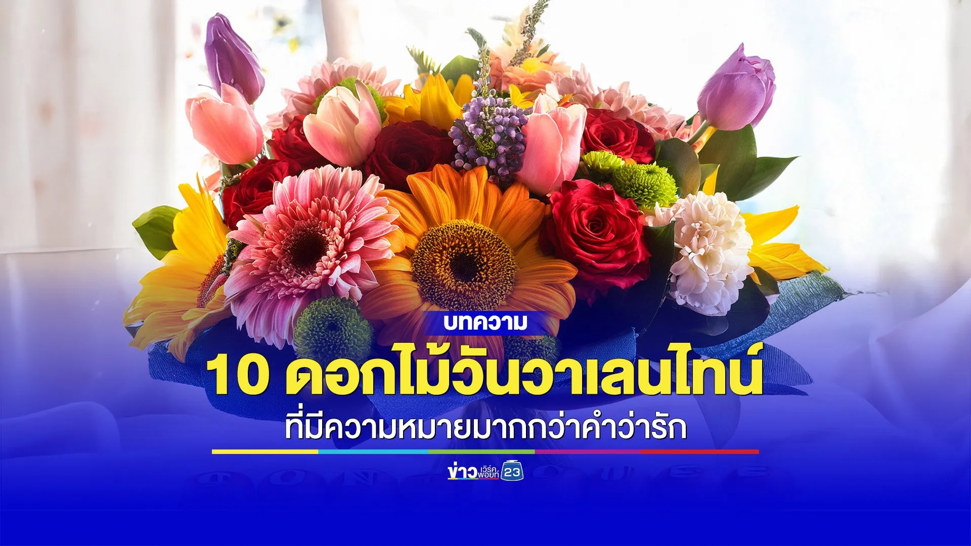 10 ดอกไม้ในวันวาเลนไทน์ที่มีความหมายมากกว่าคำว่ารัก