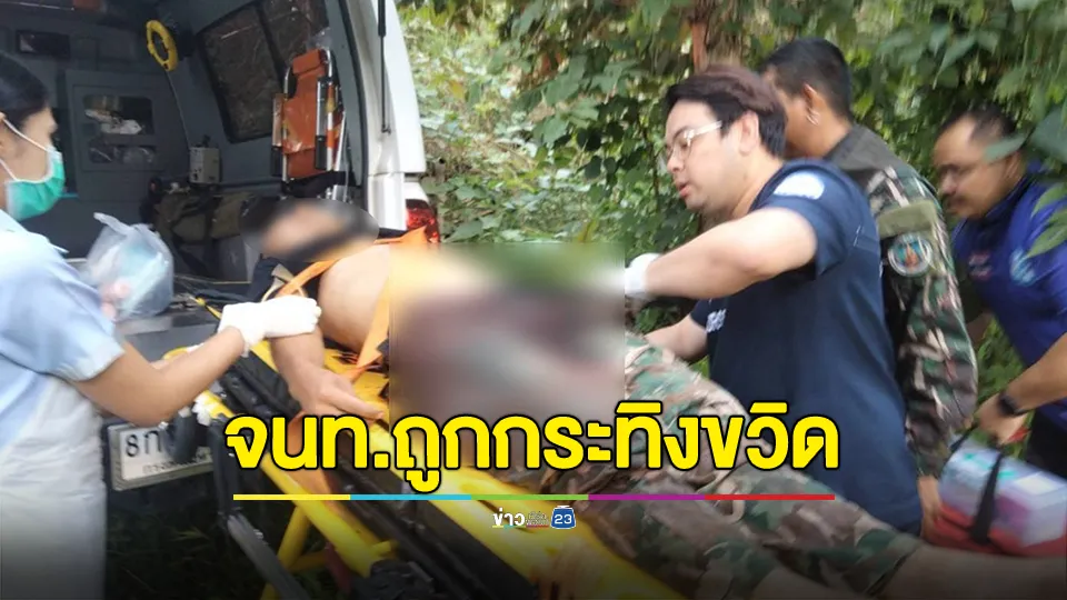 เจ้าหน้าที่พิทักษ์ป่าแม่วงก์ถูกกระทิงขวิด ขณะลาดตระเวน