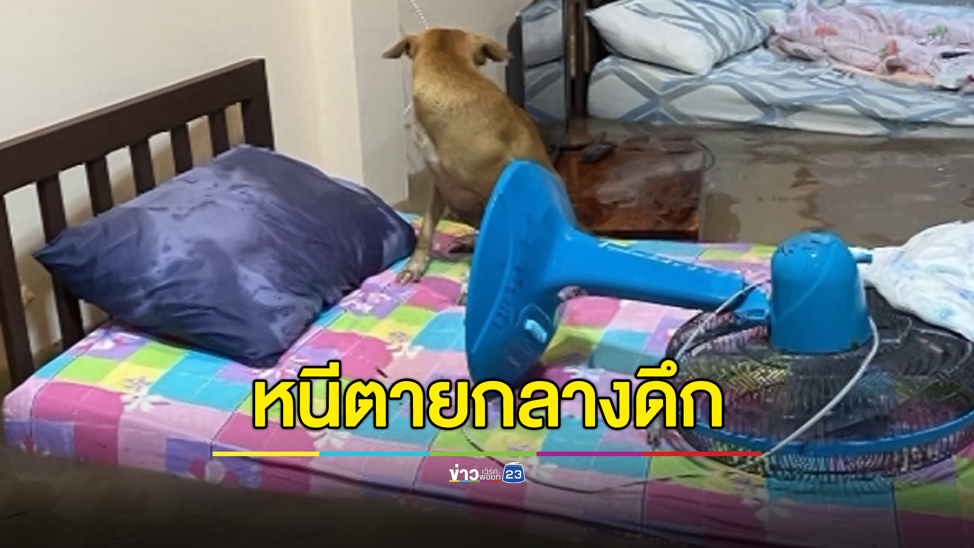 เขื่อนขุนด่านฯ ปล่อยน้ำกลางดึก ชาวบ้าน-นทท.ขนของหนีวุ่น