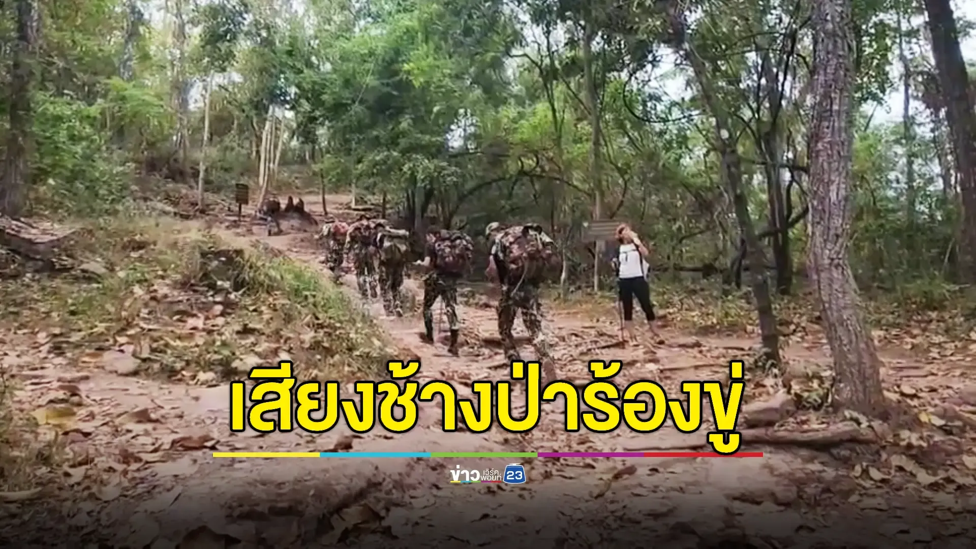 ช้างป่าภูกระดึงยังส่งเสียงร้อง เร่งพา นทท. ลงจากยอดภู